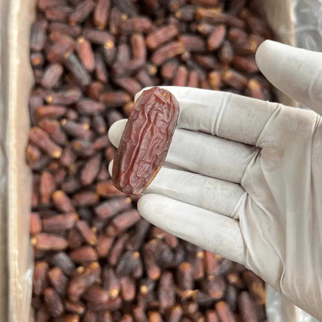 Mabroom Premium Jumbo Dates