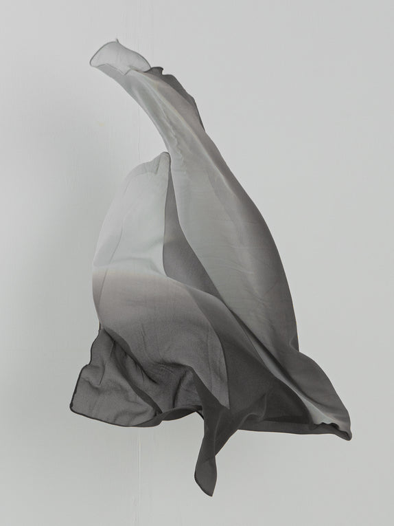 Etherea Dual-Tone Chiffon Scarf - 10